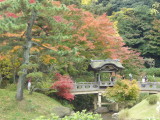 img0011.jpg