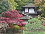 img0013.jpg