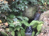 img0019.jpg