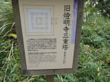 img0028.jpg