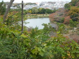 img0029.jpg