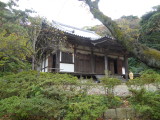 img0036.jpg