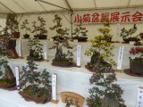 img0039.jpg