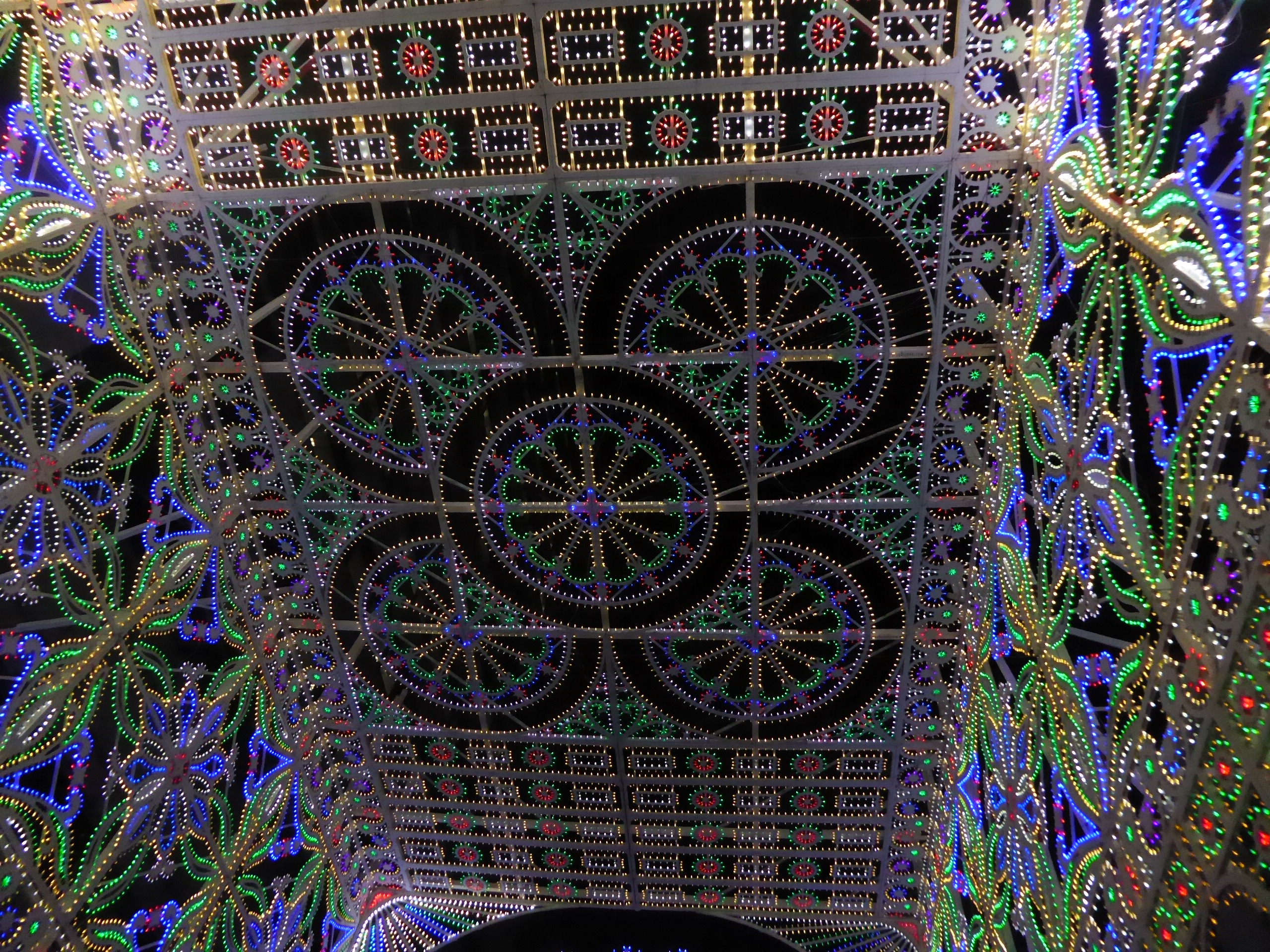 P1070986.JPG