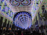 img0009.jpg