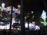 img0041.jpg
