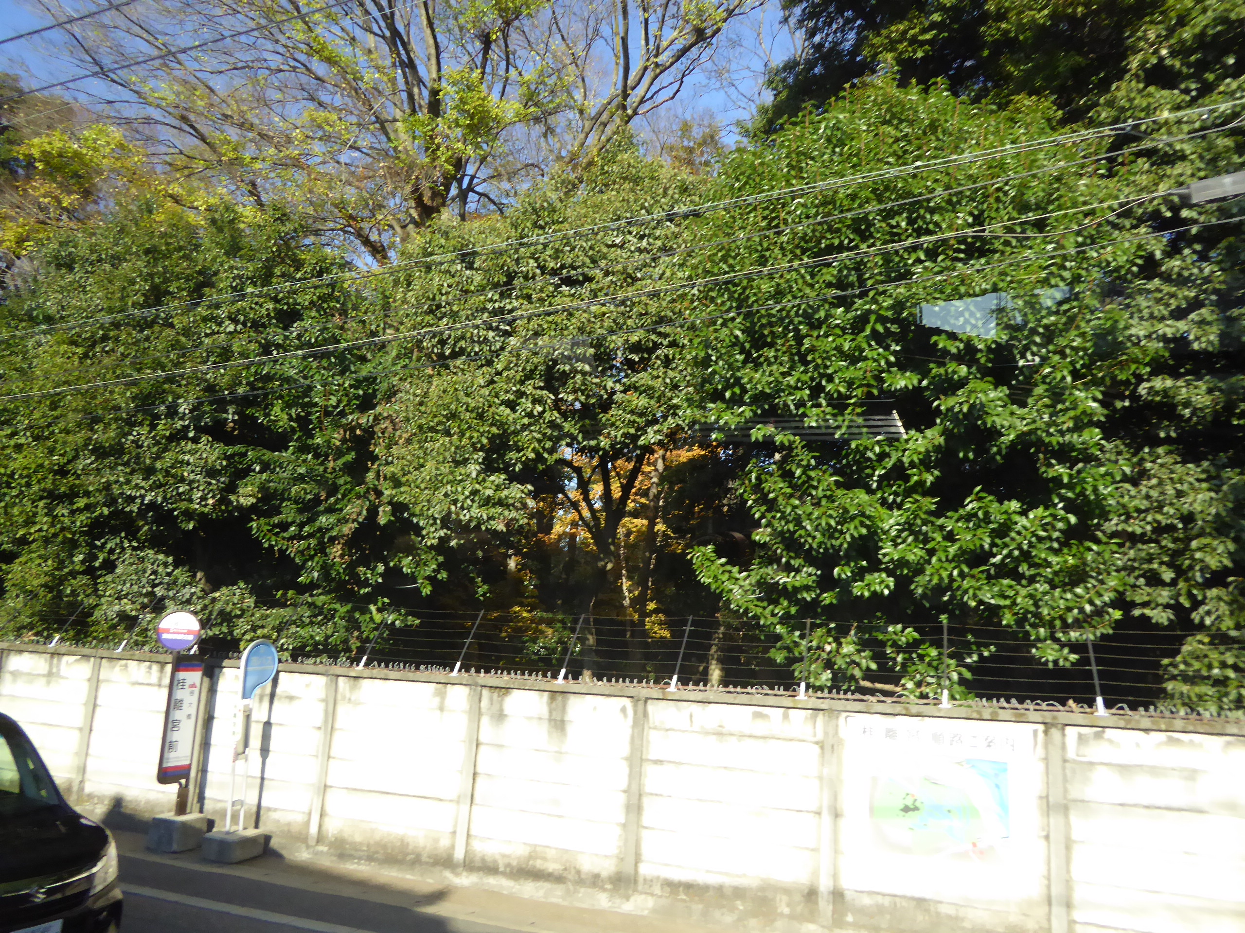 P1080027.JPG
