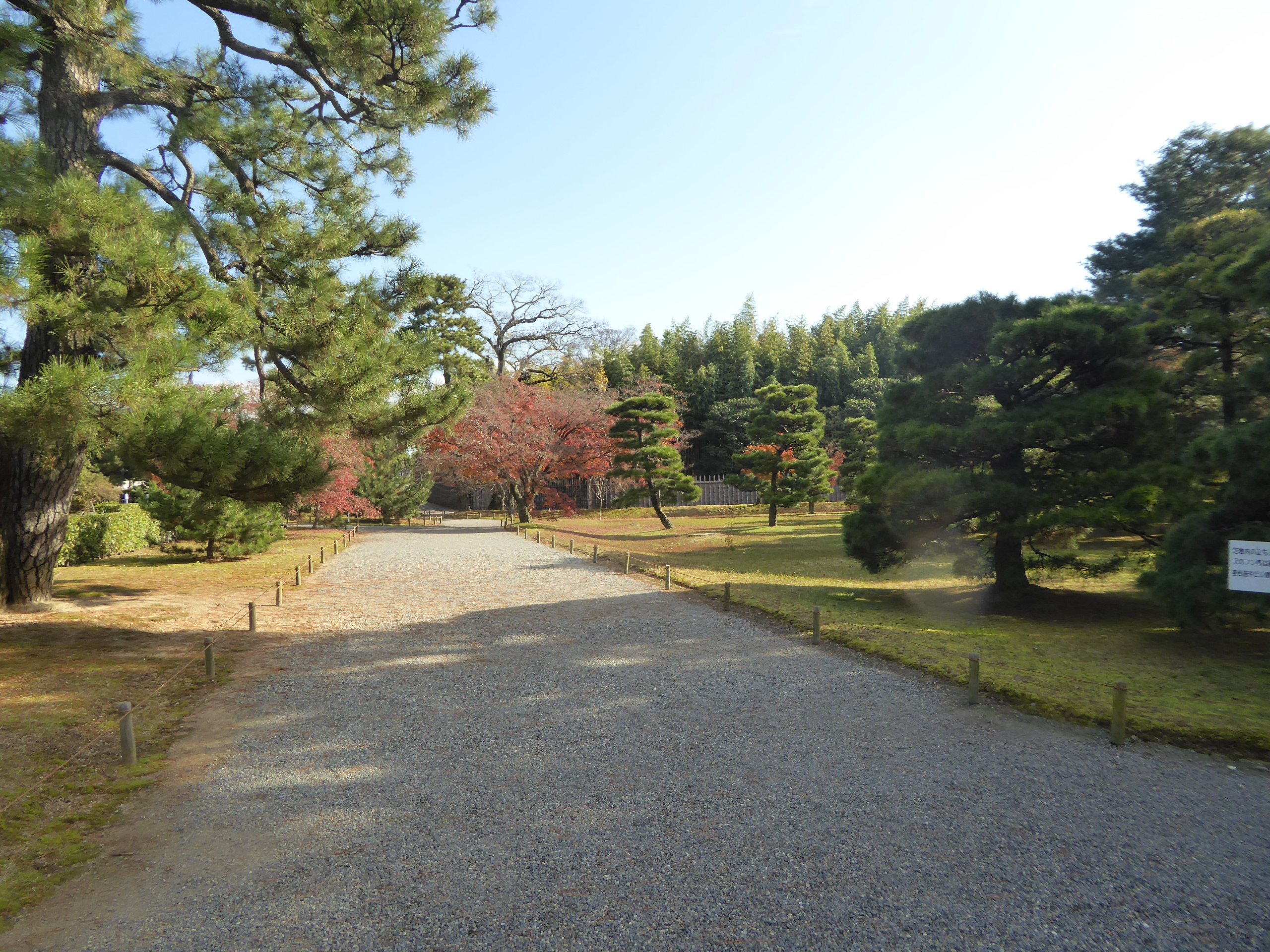 P1080031.JPG