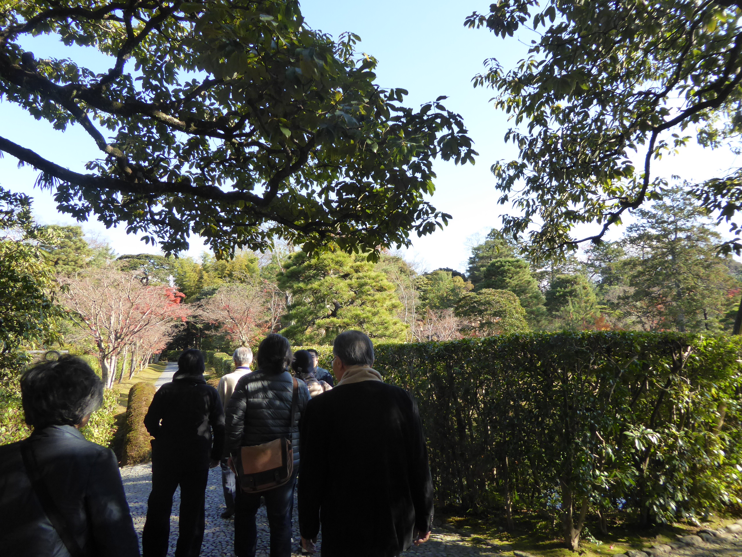 P1080034.JPG