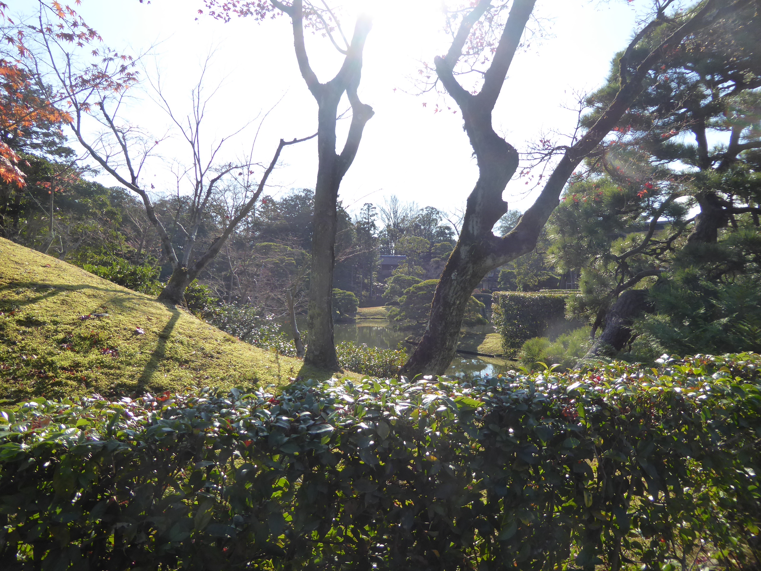 P1080037.JPG