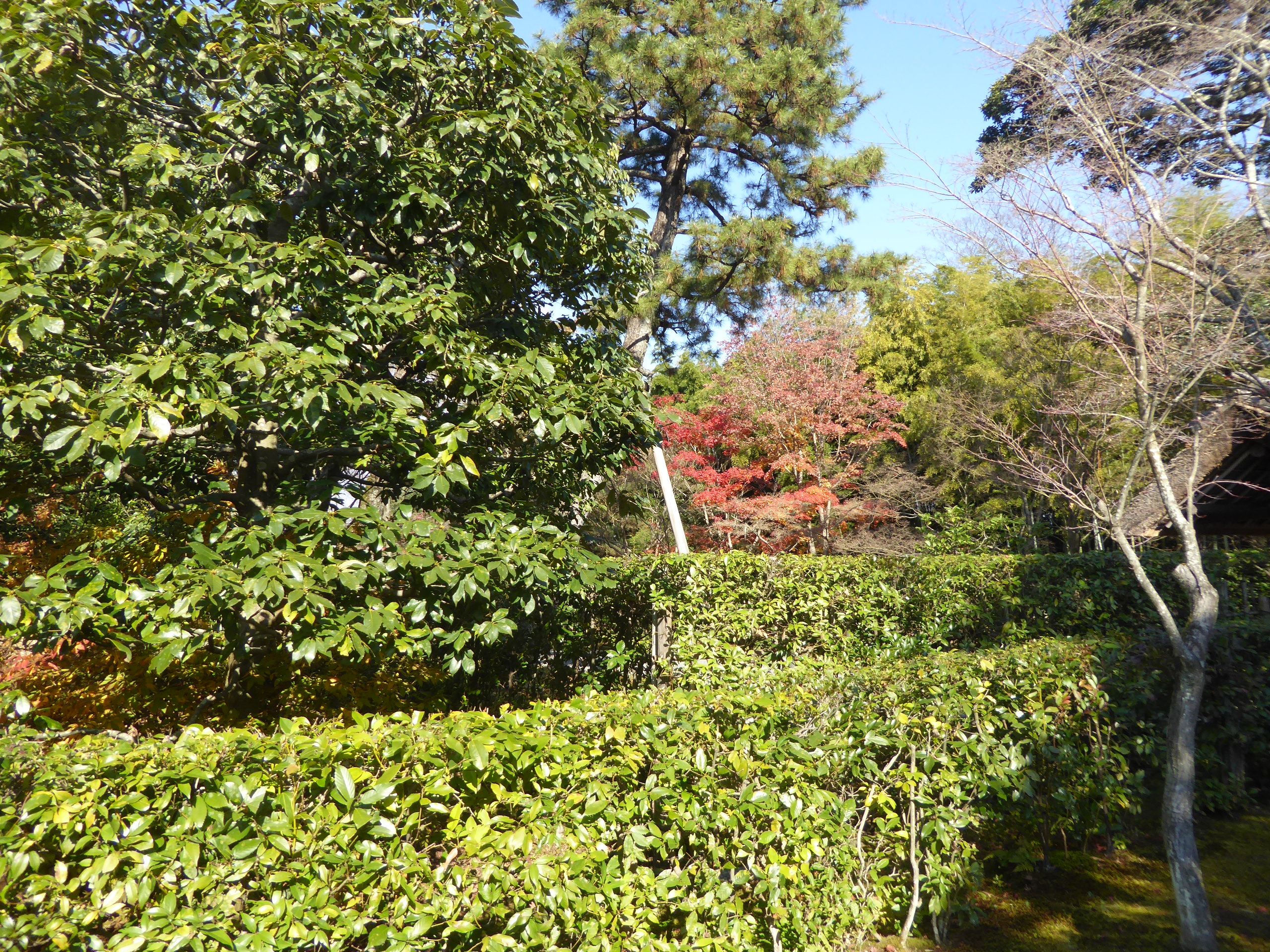 P1080040.JPG