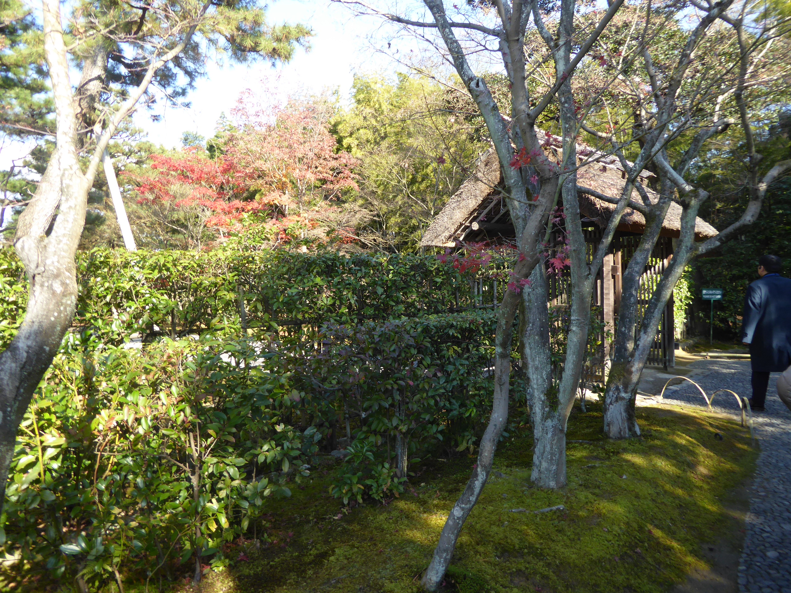 P1080041.JPG