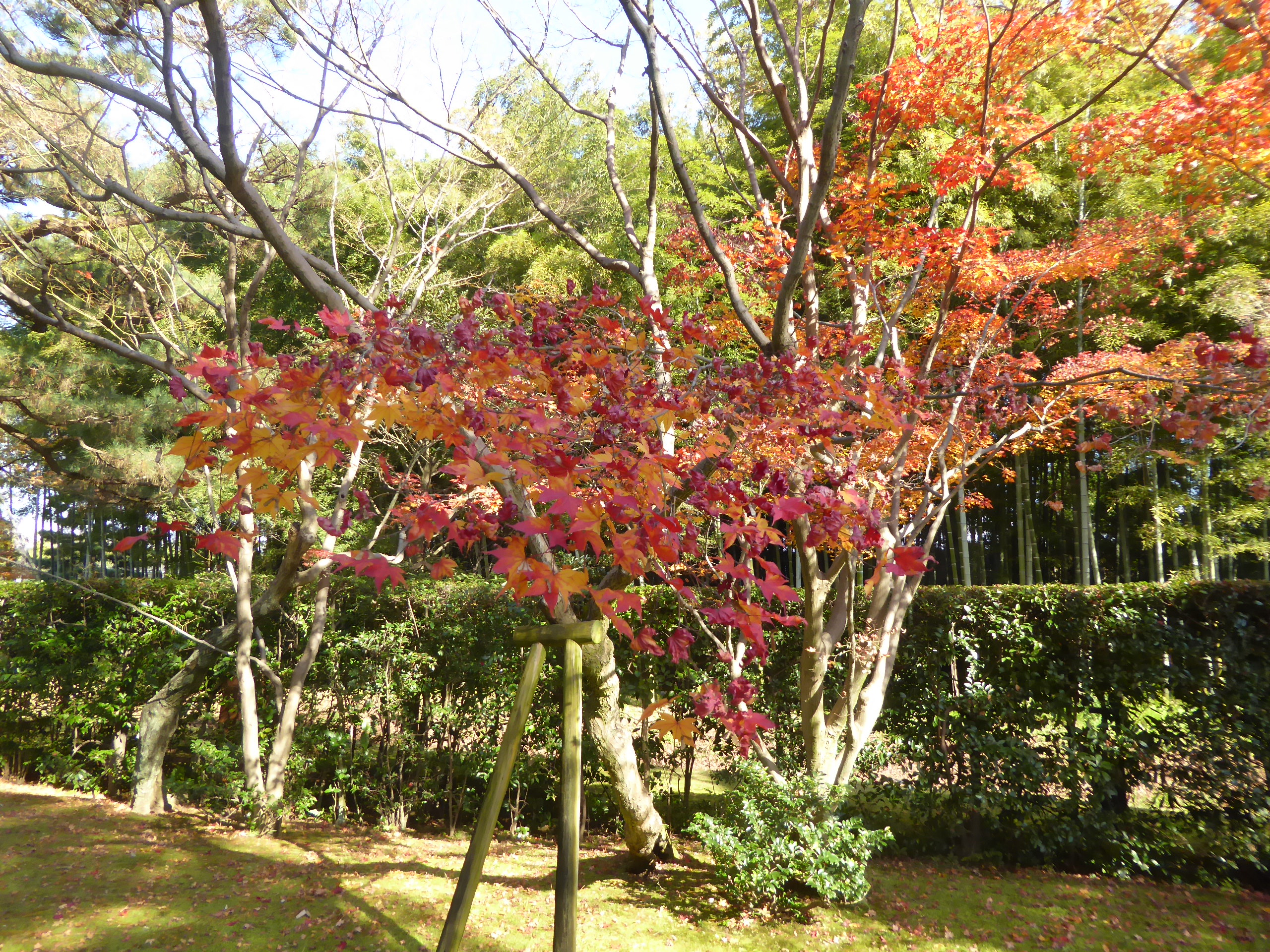P1080043.JPG