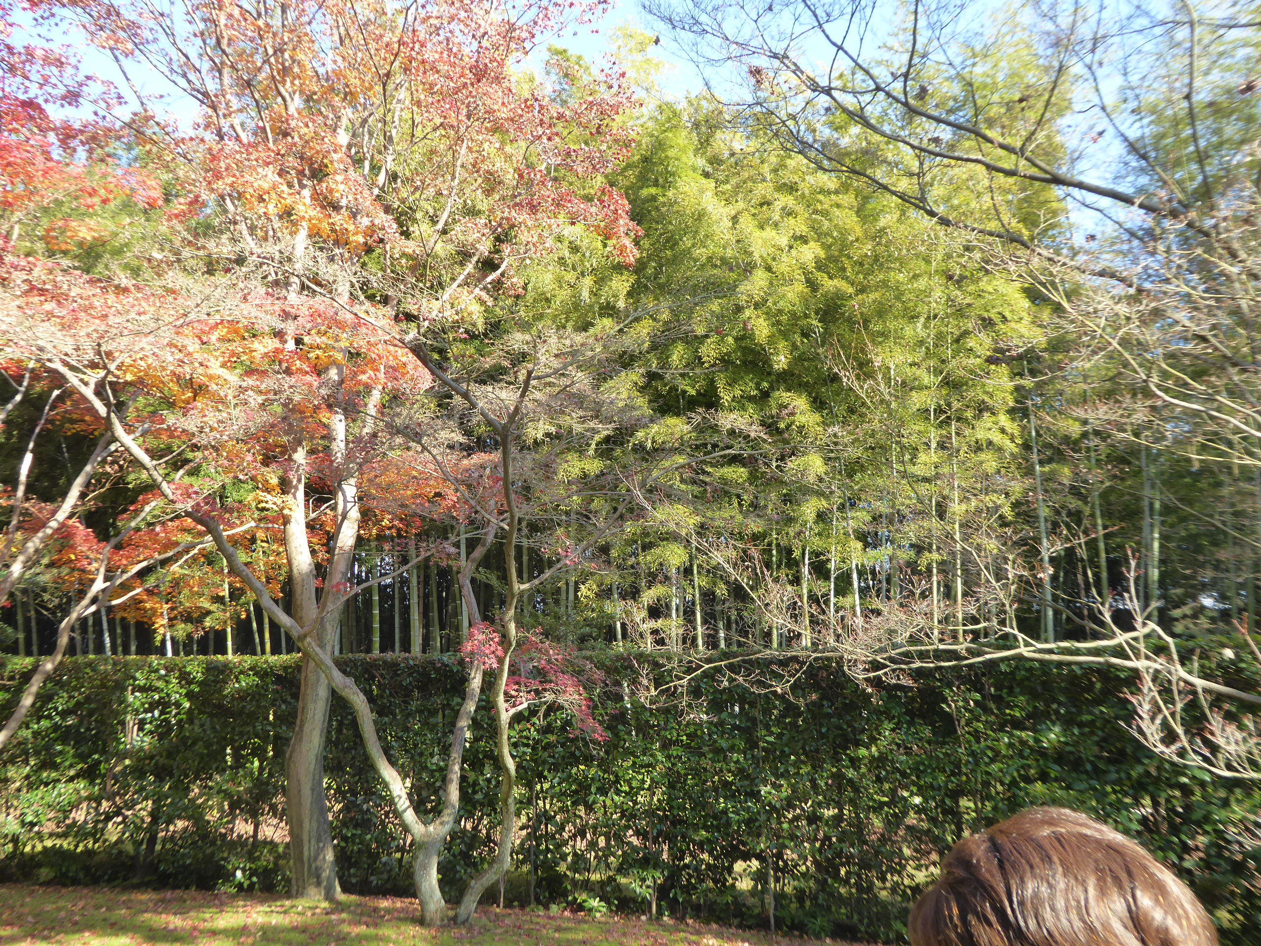 P1080044.JPG