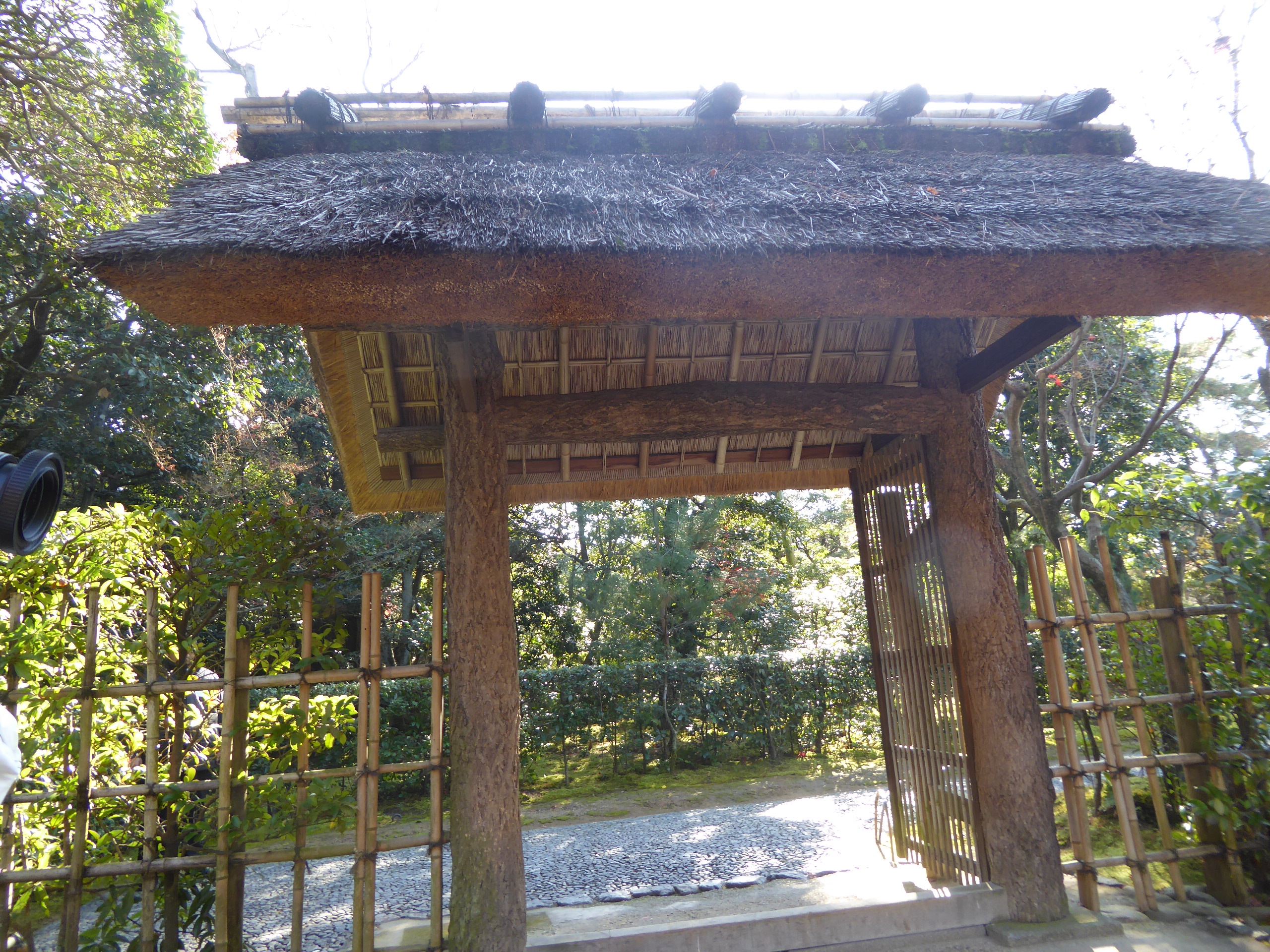 P1080047.JPG