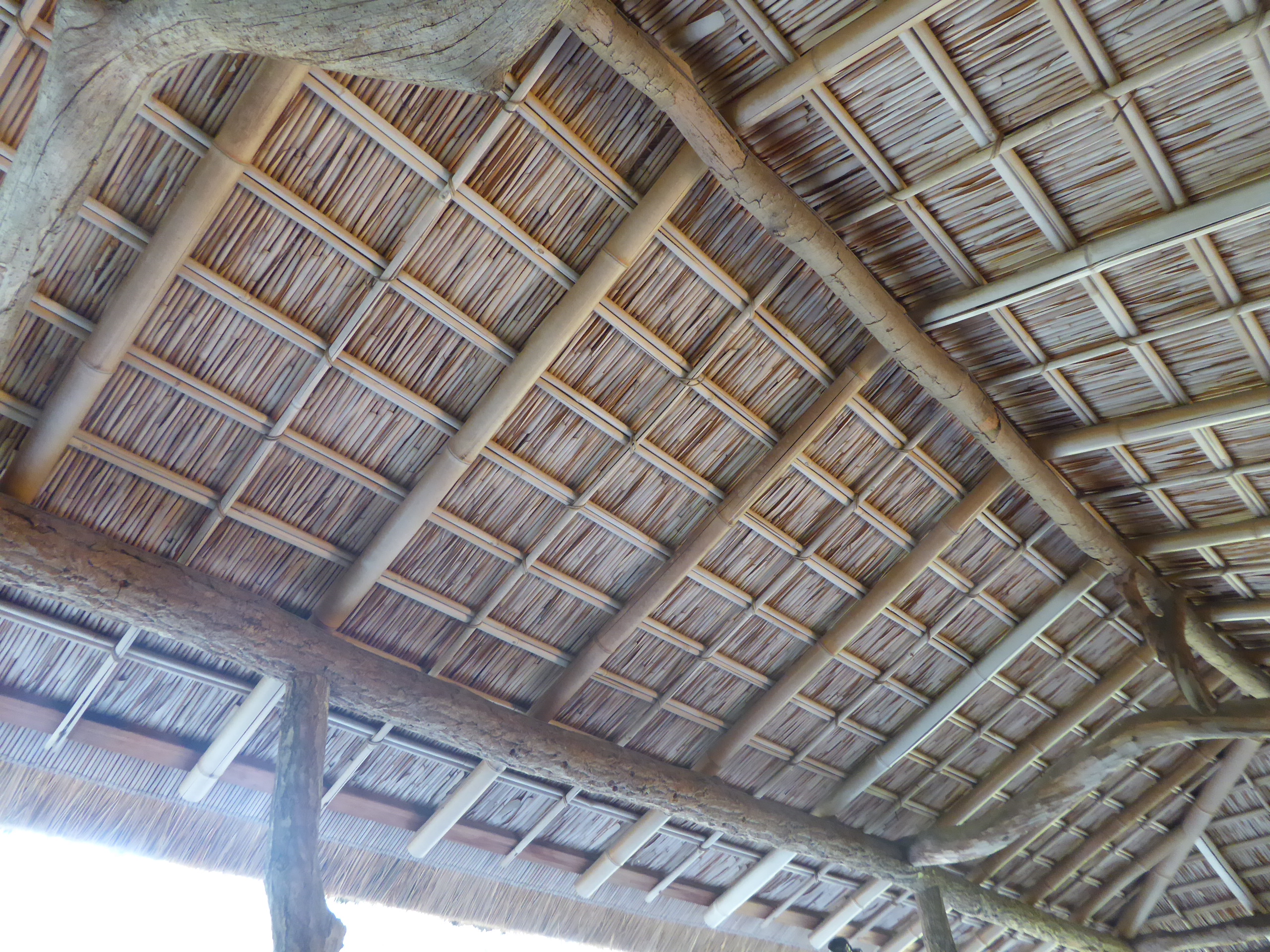 P1080052.JPG