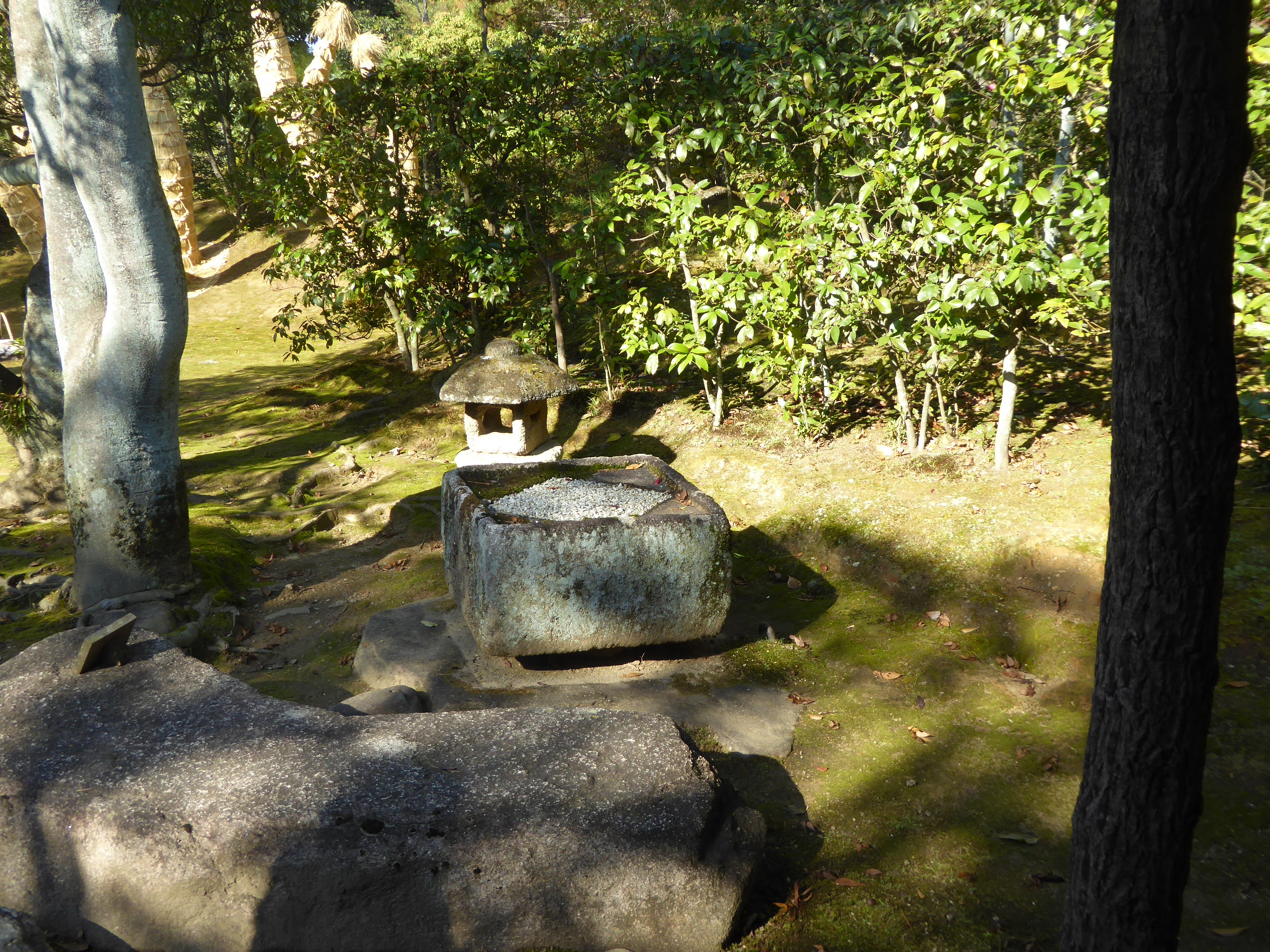 P1080053.JPG