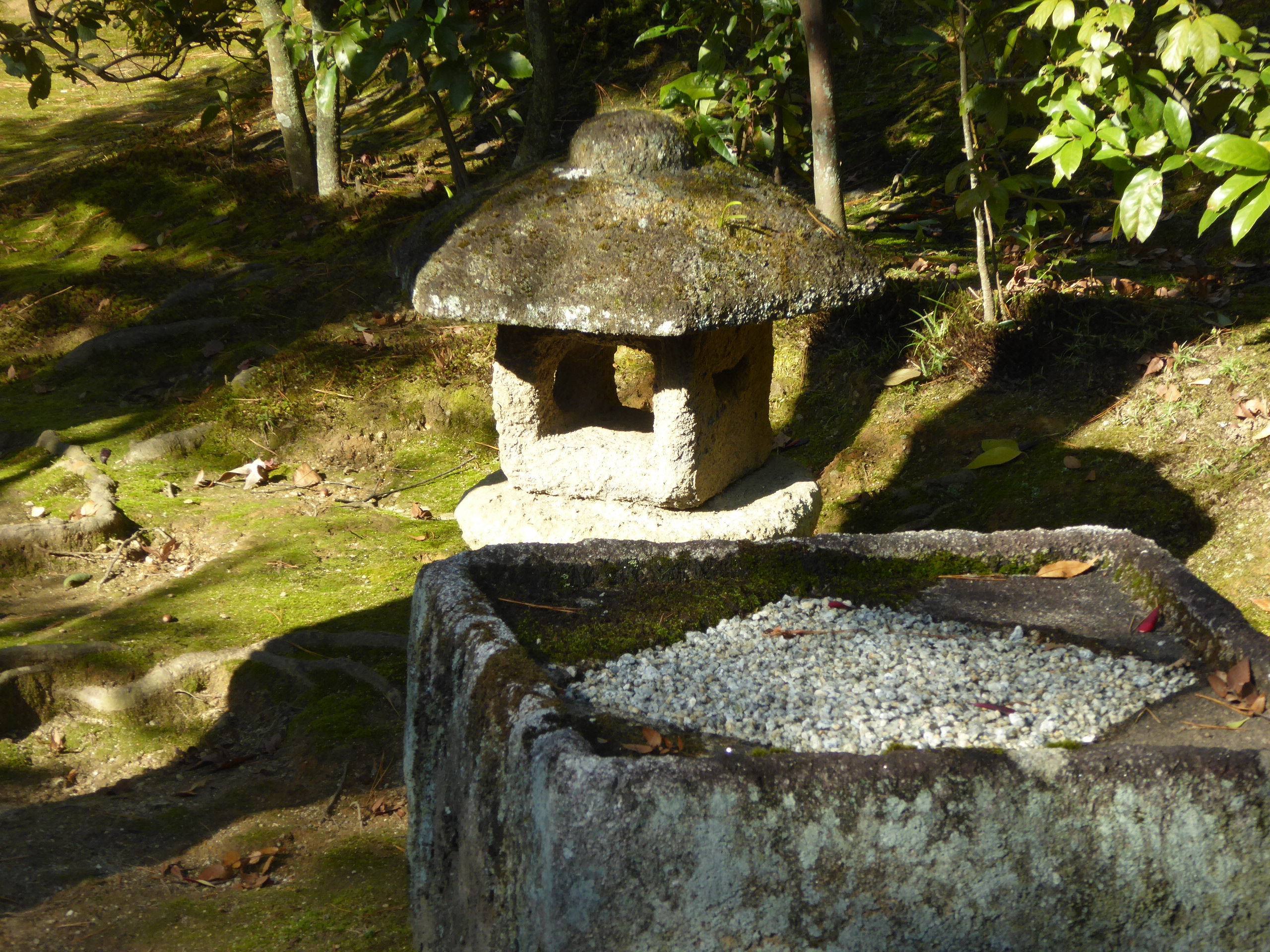P1080054.JPG