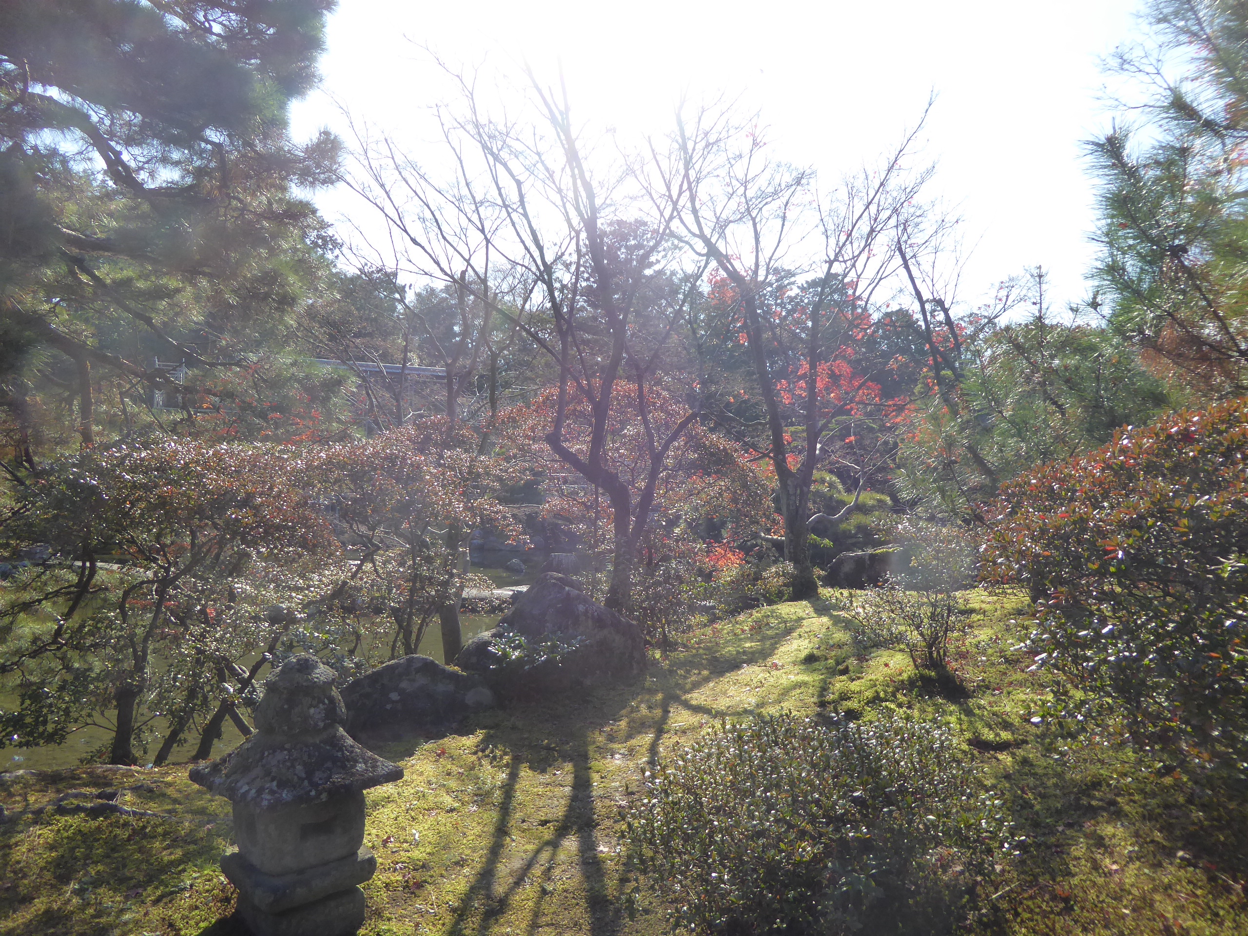 P1080056.JPG