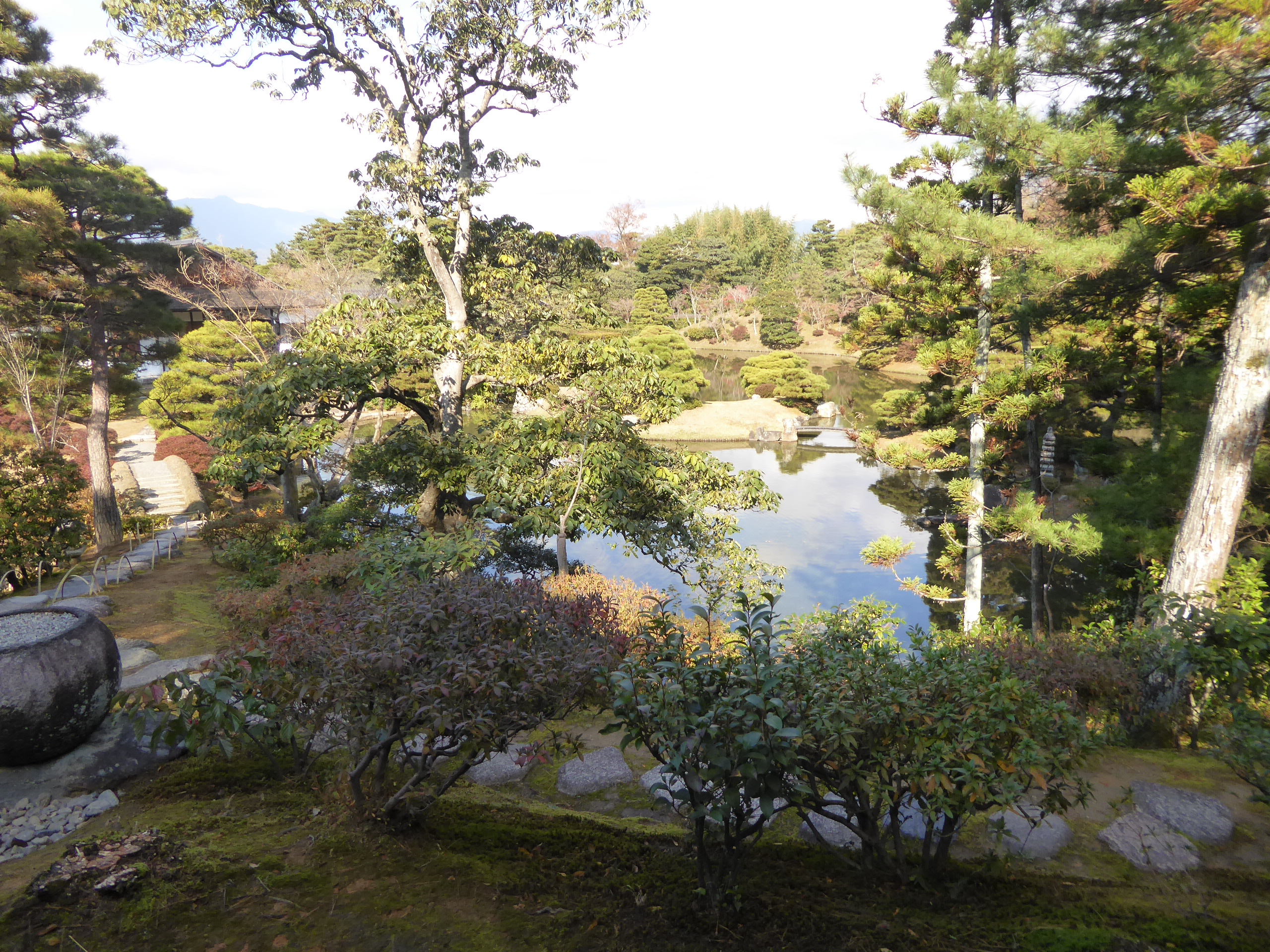P1080086.JPG