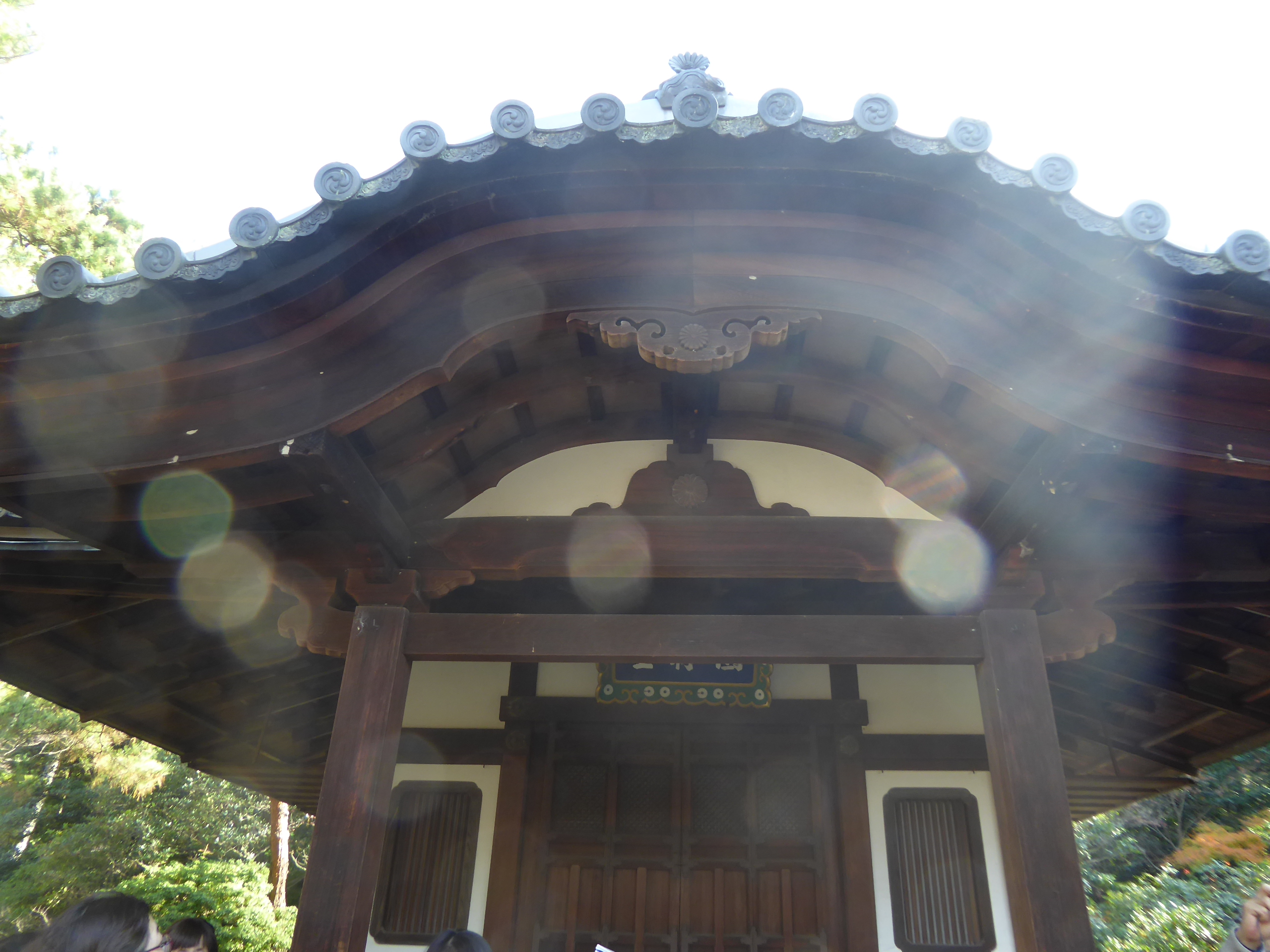 P1080099.JPG