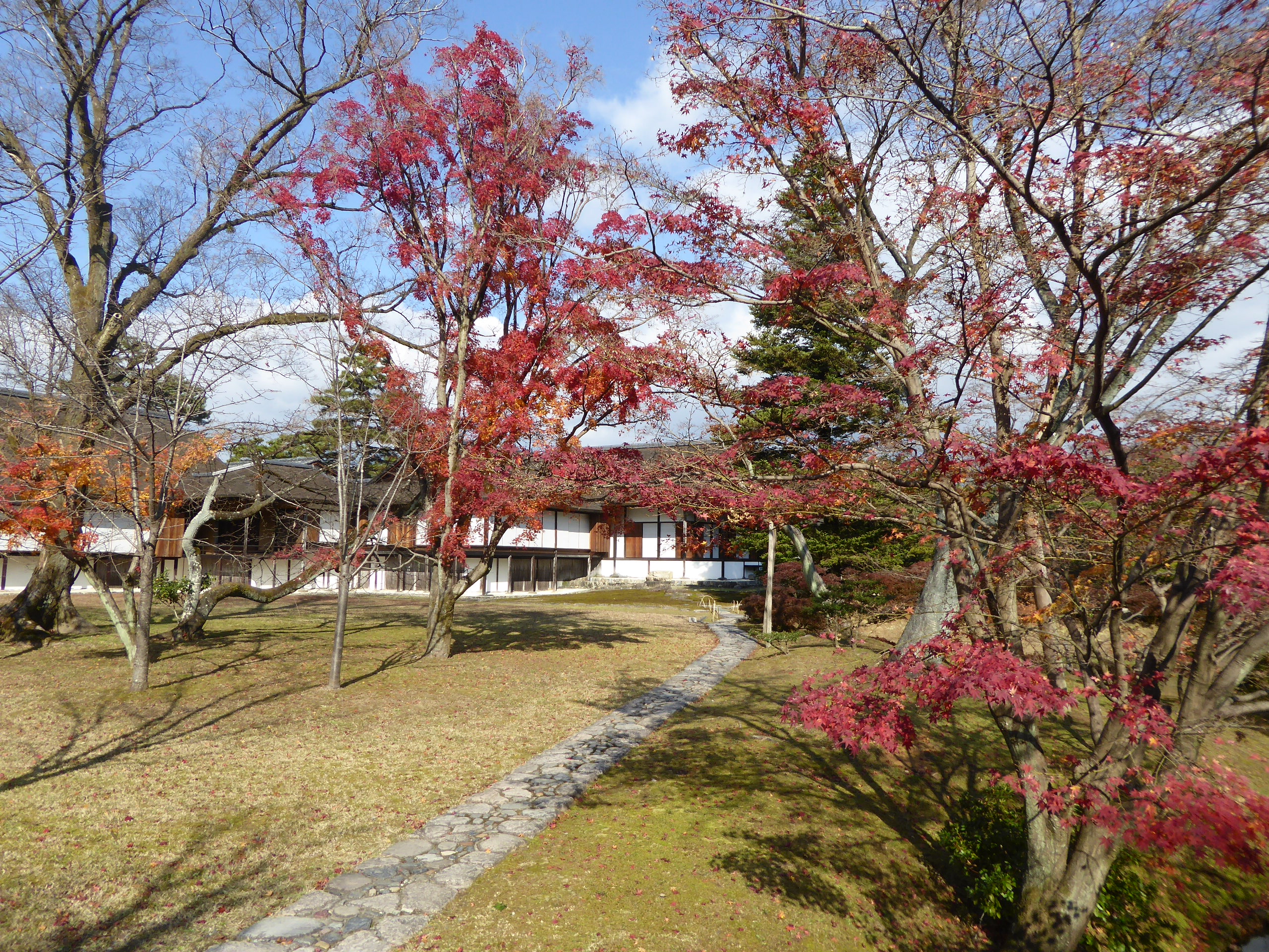 P1080104.JPG