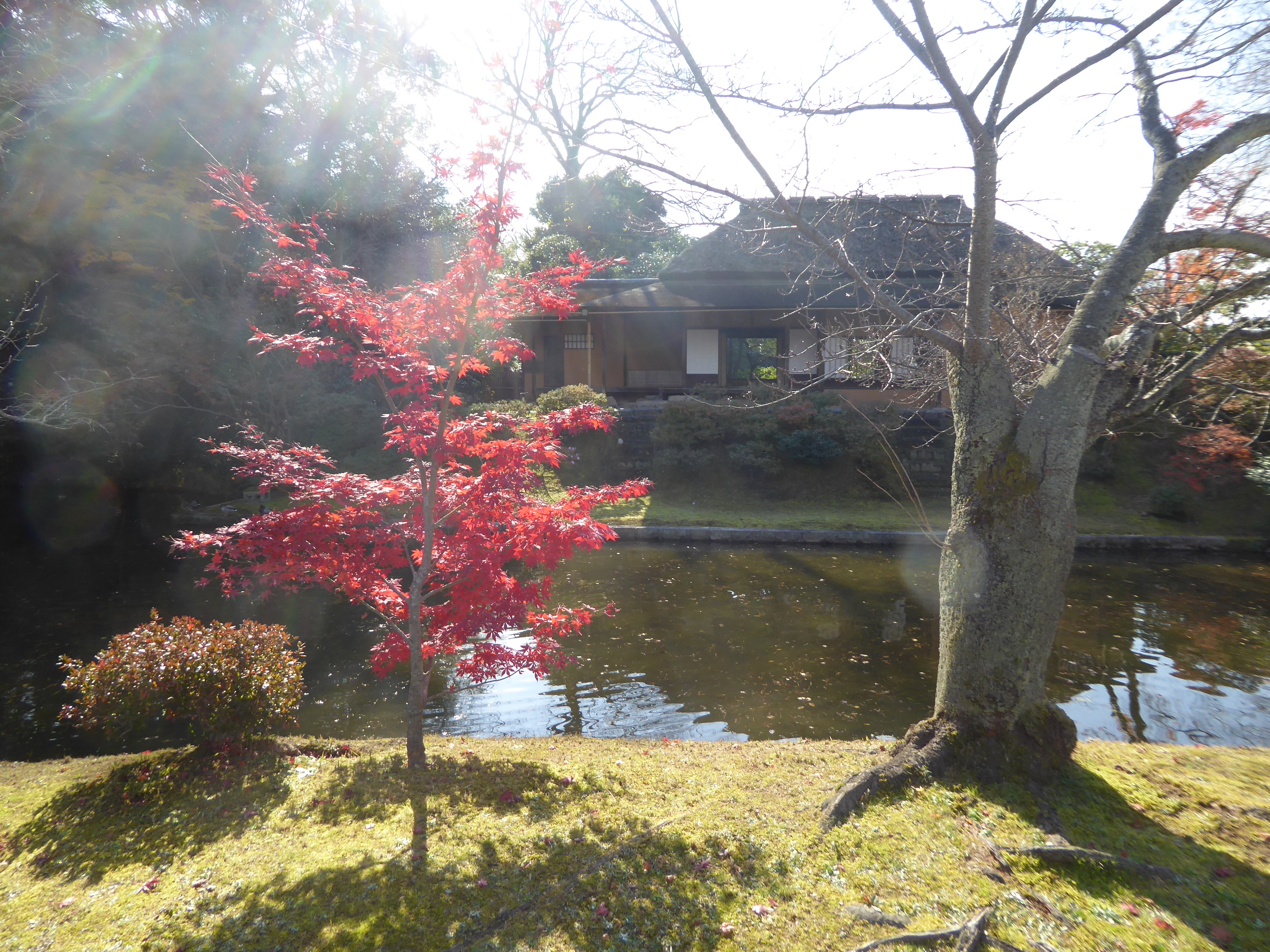P1080105.JPG