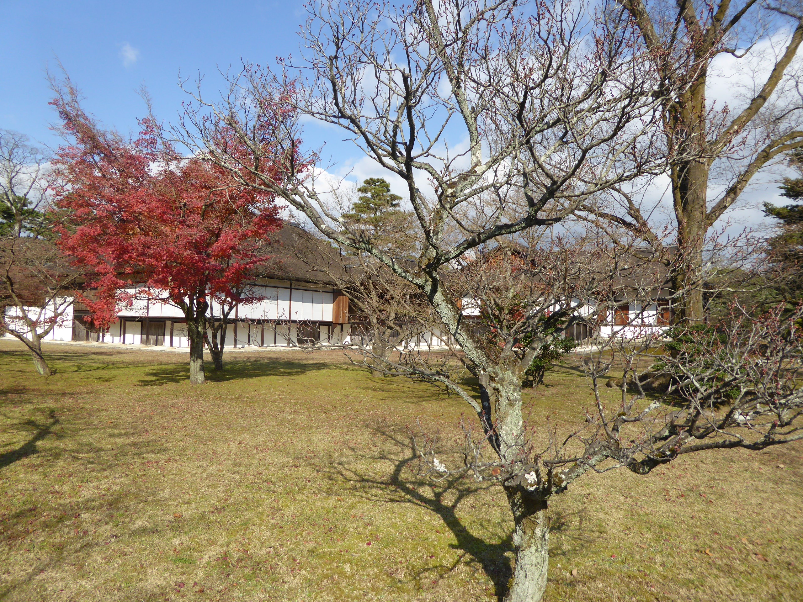 P1080106.JPG