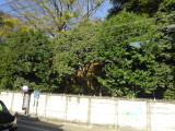 img0003.jpg