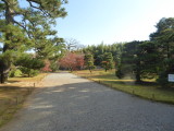 img0007.jpg