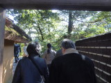 img0009.jpg
