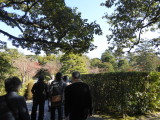 img0010.jpg