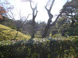 img0013.jpg