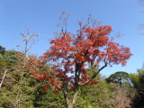 img0014.jpg