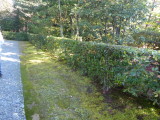 img0015.jpg