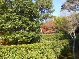 img0016.jpg