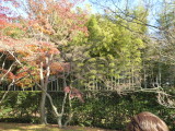 img0020.jpg
