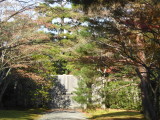img0021.jpg