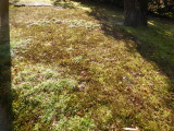img0024.jpg