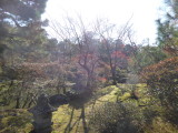 img0031.jpg