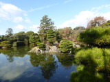 img0050.jpg
