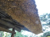 img0068.jpg