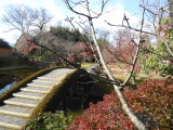 img0072.jpg