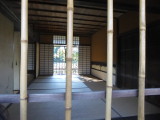 img0082.jpg