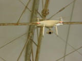 img0012.jpg