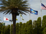 img0008.jpg