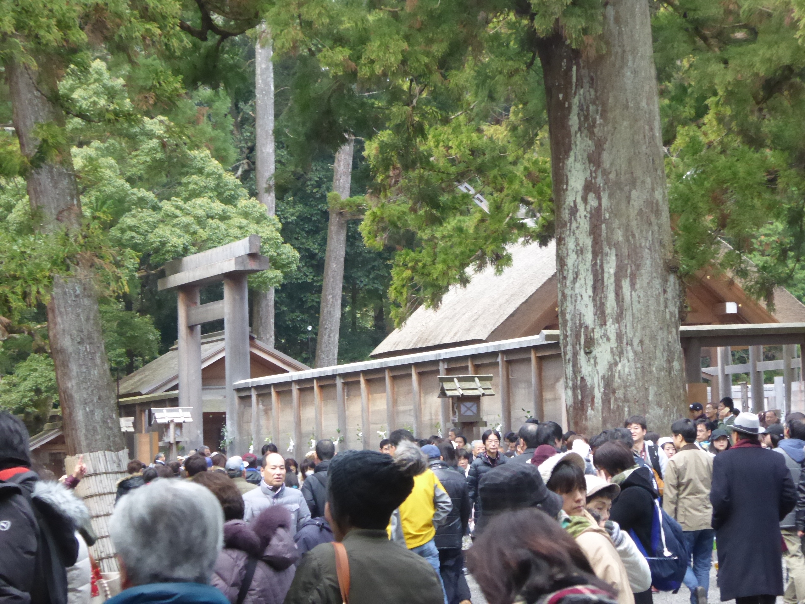 P1080346.JPG