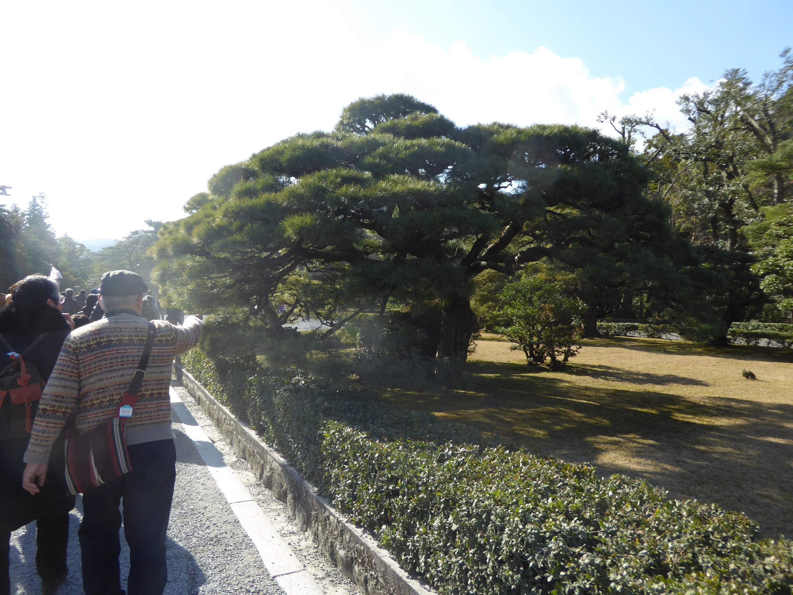 P1080368.JPG