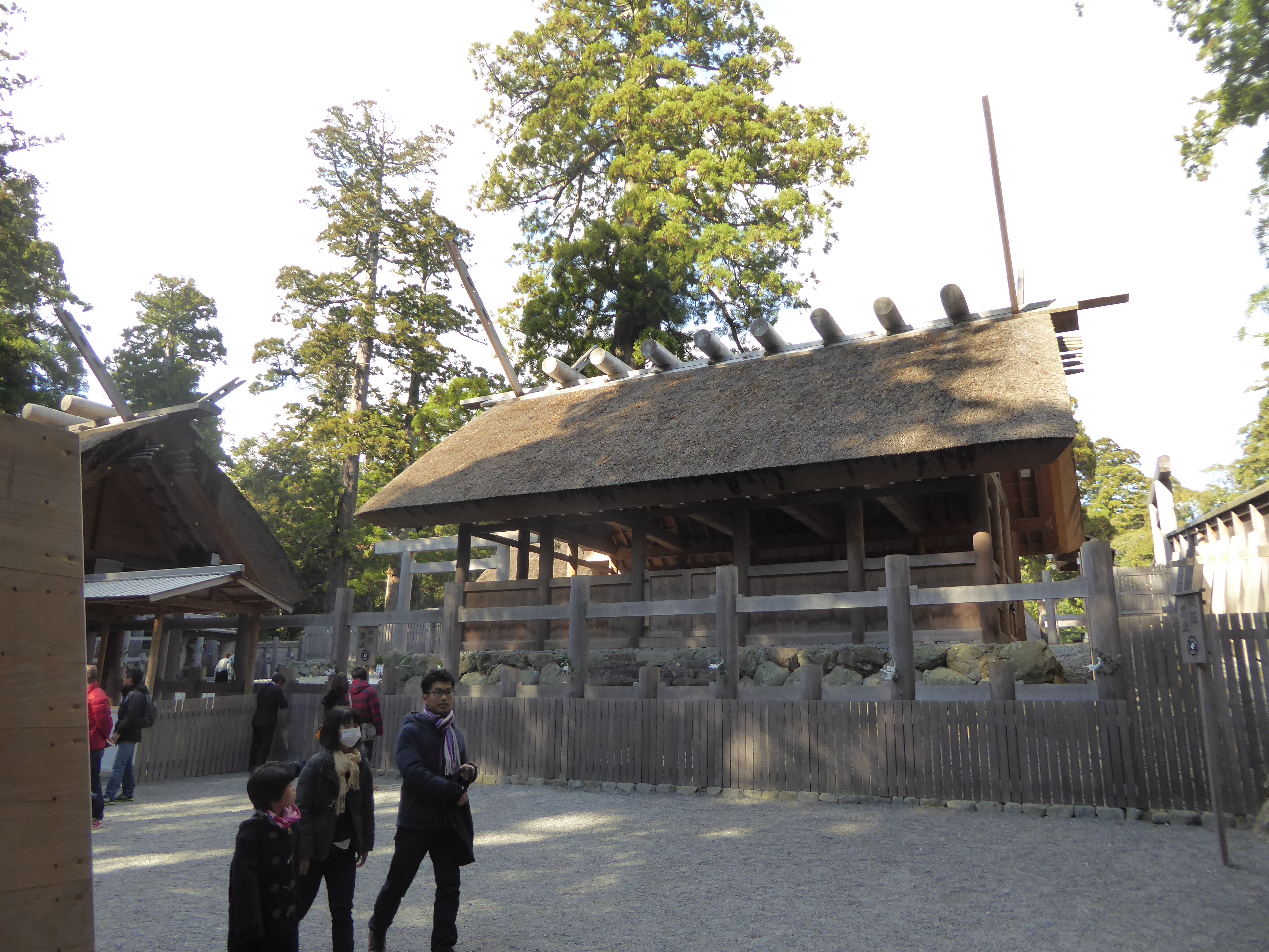 P1080371.JPG
