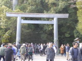 img0095.jpg